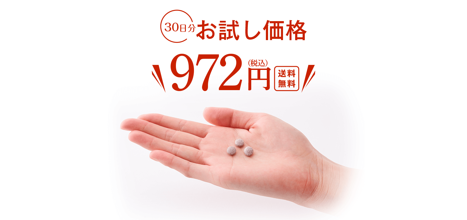 お試し価格972円