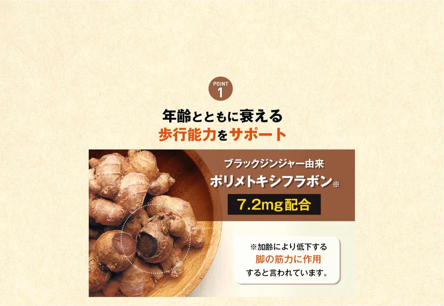 年齢とともに衰える歩行能力をサポート