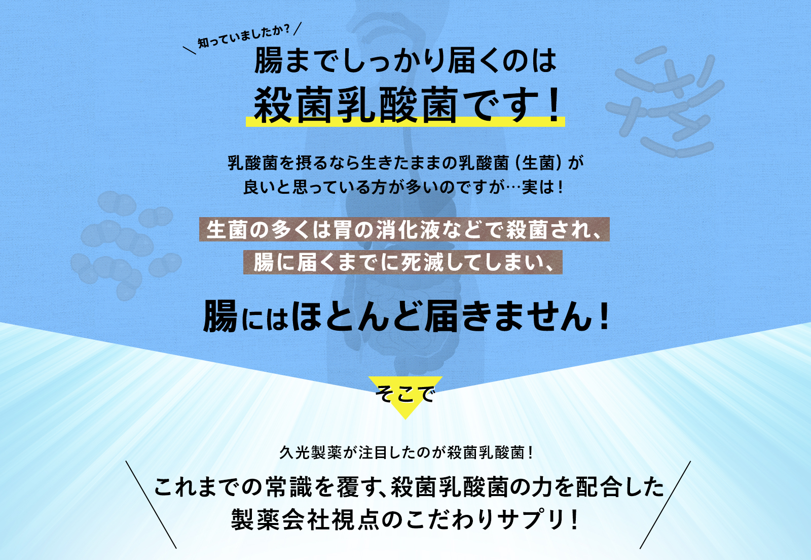 知っていましたか？ 腸までしっかり届くのは殺菌乳酸菌です！ 乳酸菌を摂るなら生きたままの乳酸菌（生菌）が良いと思っている方が多いのですが…実は！ 生菌の多くは胃の消化液などで殺菌され、腸に届くまでに死滅してしまい、腸にはほとんど届きません！ そこで 久光製薬が注目したのが殺菌乳酸菌！ これまでの常識を覆す、殺菌乳酸菌の力を配合した製薬会社視点のこだわりサプリ！