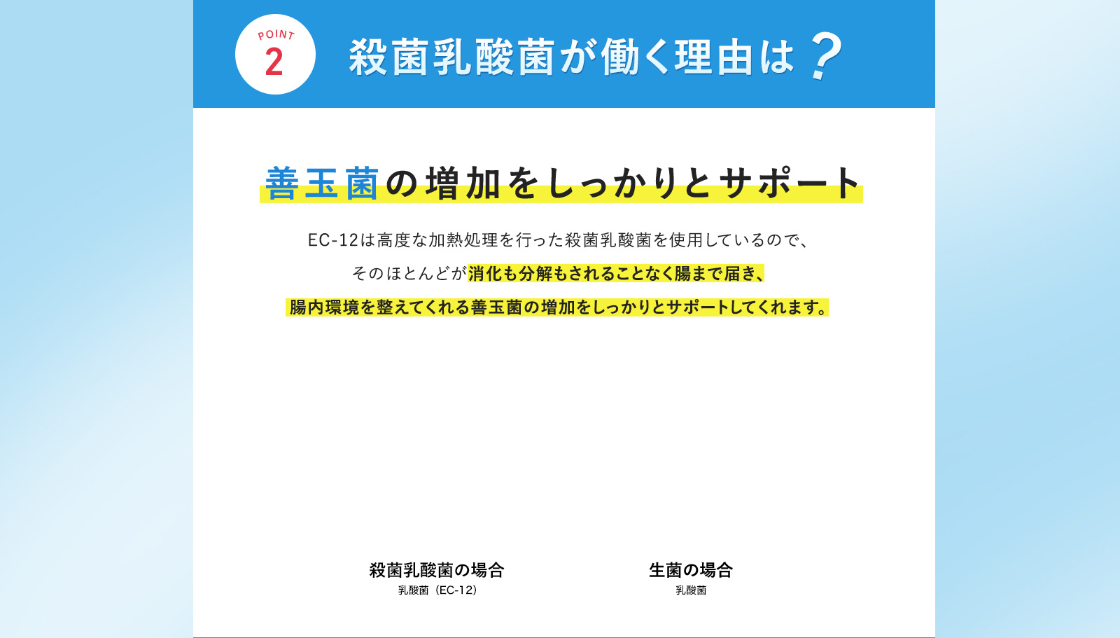 殺菌乳酸菌が働く理由は？ 善玉菌の増加をしっかりとサポート EC-12は高度な加熱処理を行った殺菌乳酸菌を使用しているので、そのほとんどが消化も分解もされることなく腸まで届き、腸内環境を整えてくれる善玉菌の増加をしっかりとサポートしてくれます。