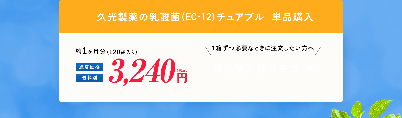 久光製薬の乳酸菌(EC-12)チュアブル 単品購入 3,000円