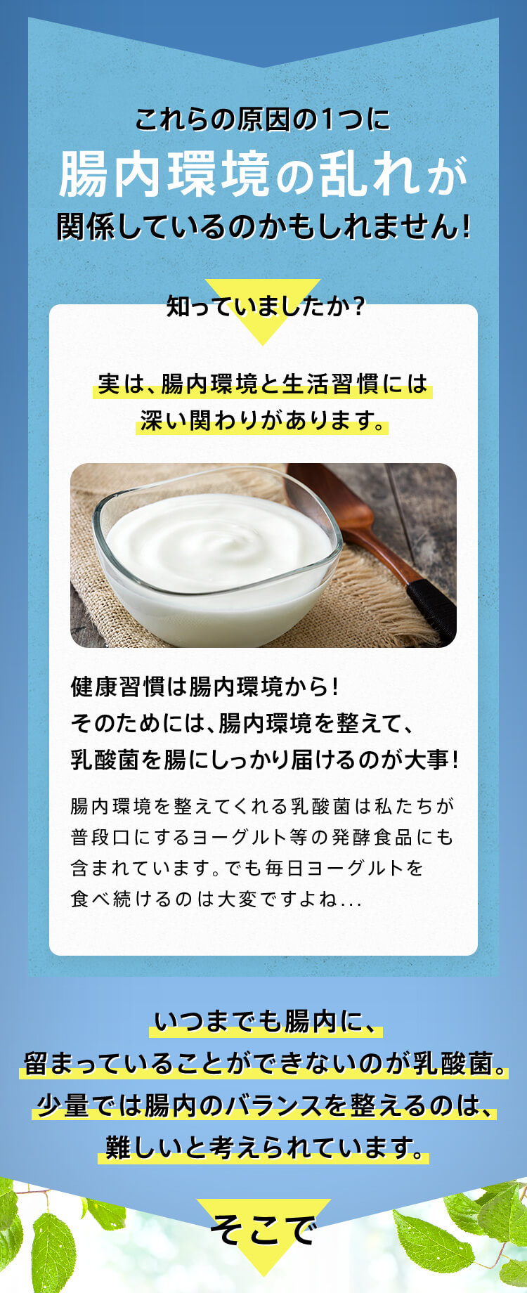 これらの原因の1つに腸内環境の乱れが関係しているのかもしれません！ 知っていましたか？ 実は、腸内環境と生活習慣には深い関わりがあります。 健康習慣は腸内環境から！ そのためには、腸内環境を整えて、乳酸菌を腸にしっかり届けるのが大事！ 腸内環境を整えてくれる乳酸菌は私たちが普段口にするヨーグルト等の発酵食品にも含まれています。 でも毎日ヨーグルトを食べ続けるのは大変ですよね... いつまでも腸内に、留まっていることができないのが乳酸菌。少量では腸内のバランスを整えるのは、難しいと考えられています。そこで