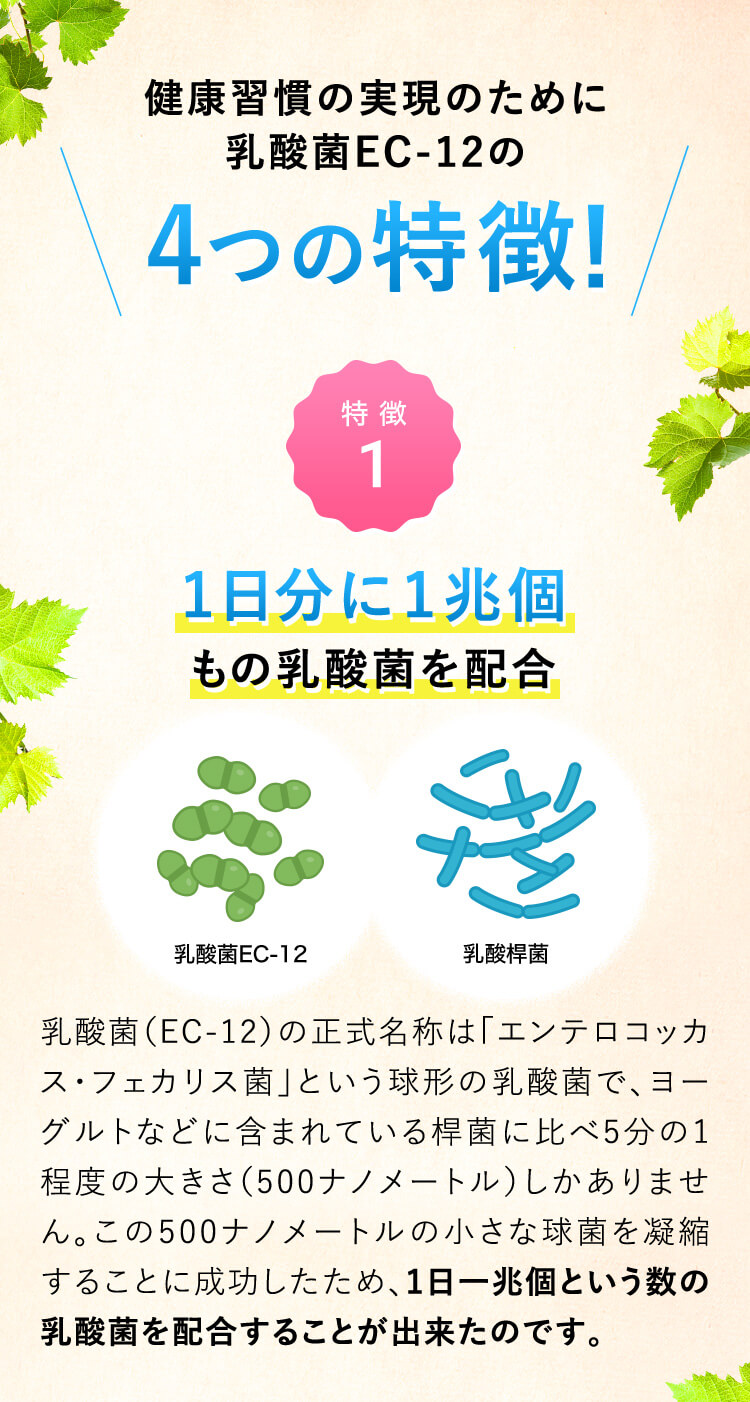 健康習慣の実現のために 乳酸菌EC-12の4つの特徴！ 1日分に1兆個もの乳酸菌を配合	乳酸菌（EC-12）の正式名称は「エンテロコッカス・フェカリス菌」という球形の乳酸菌で、ヨーグルトなどに含まれている桿菌に比べ5分の1 程度の大きさ（500ナノメートル）しかありません。この500ナノメートルの小さな球菌を凝縮することに成功したため、1日一兆個という数の乳酸菌を配合することが出来たのです。