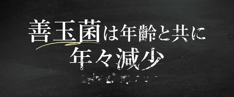善玉菌は年齢と共に年々減少
