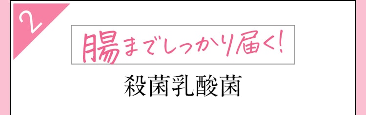 腸までしっかり届く！殺菌乳酸菌