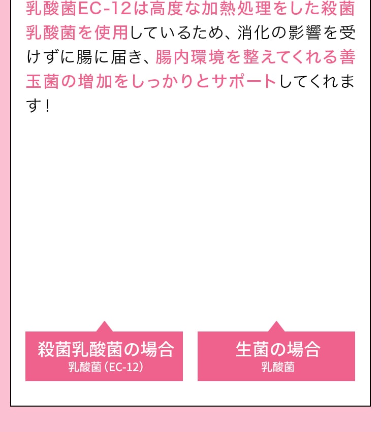 乳酸菌EC-12は高度な加熱処理をした殺菌乳酸菌を使用しているため、消化の影響を受けずに腸に届き、腸内環境を整えてくれる善玉菌の増加をしっかりとサポートしてくれます！