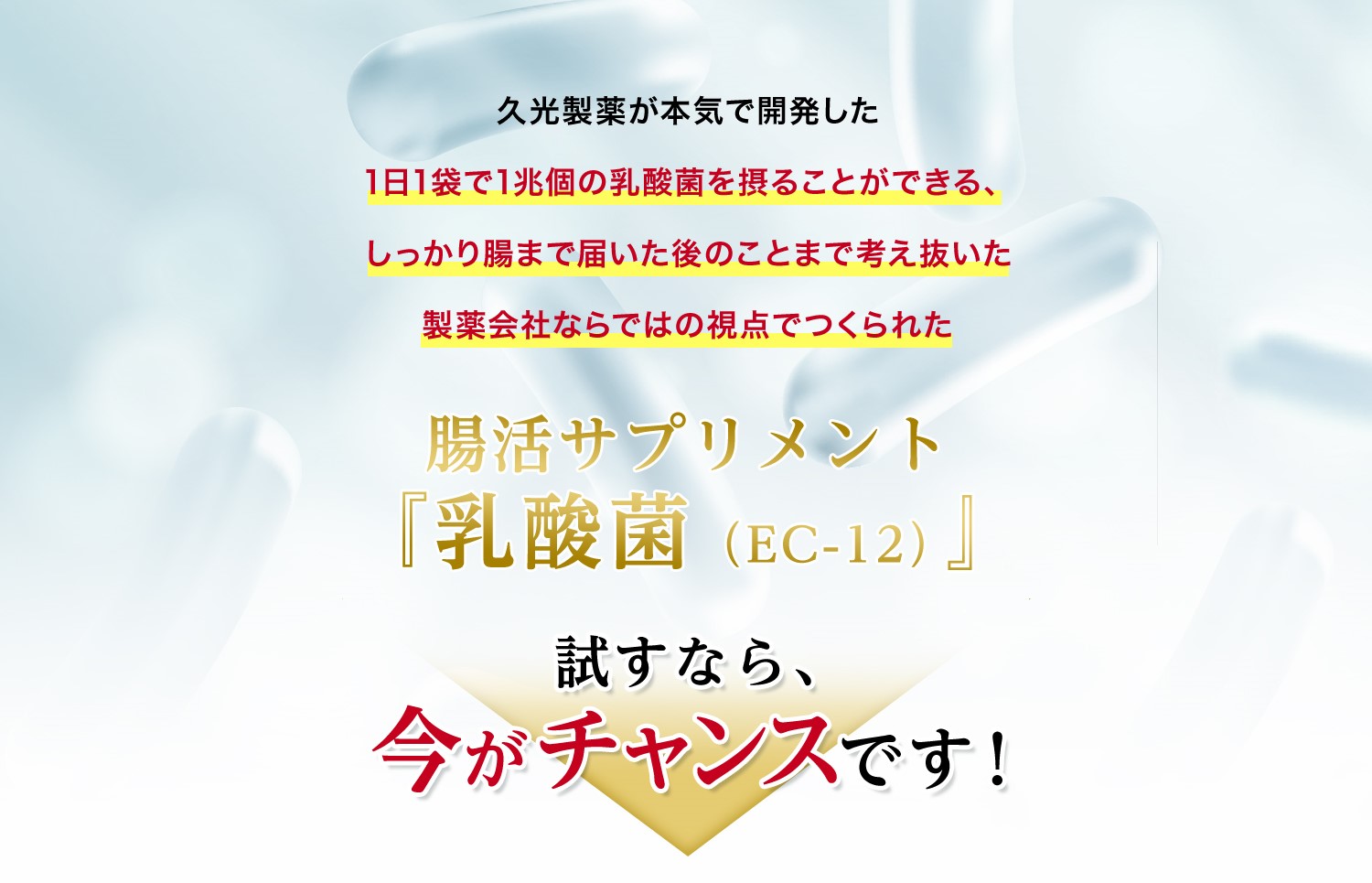 久光製薬が本気で開発した1日1袋でで1兆個の乳酸菌を摂ることができる、しっかり腸まで届いた後のことまで考え抜いた製薬会社ならではの視点でつくられた腸活サプリメント「乳酸菌（EC-12）」試すなら、今がチャンスです！