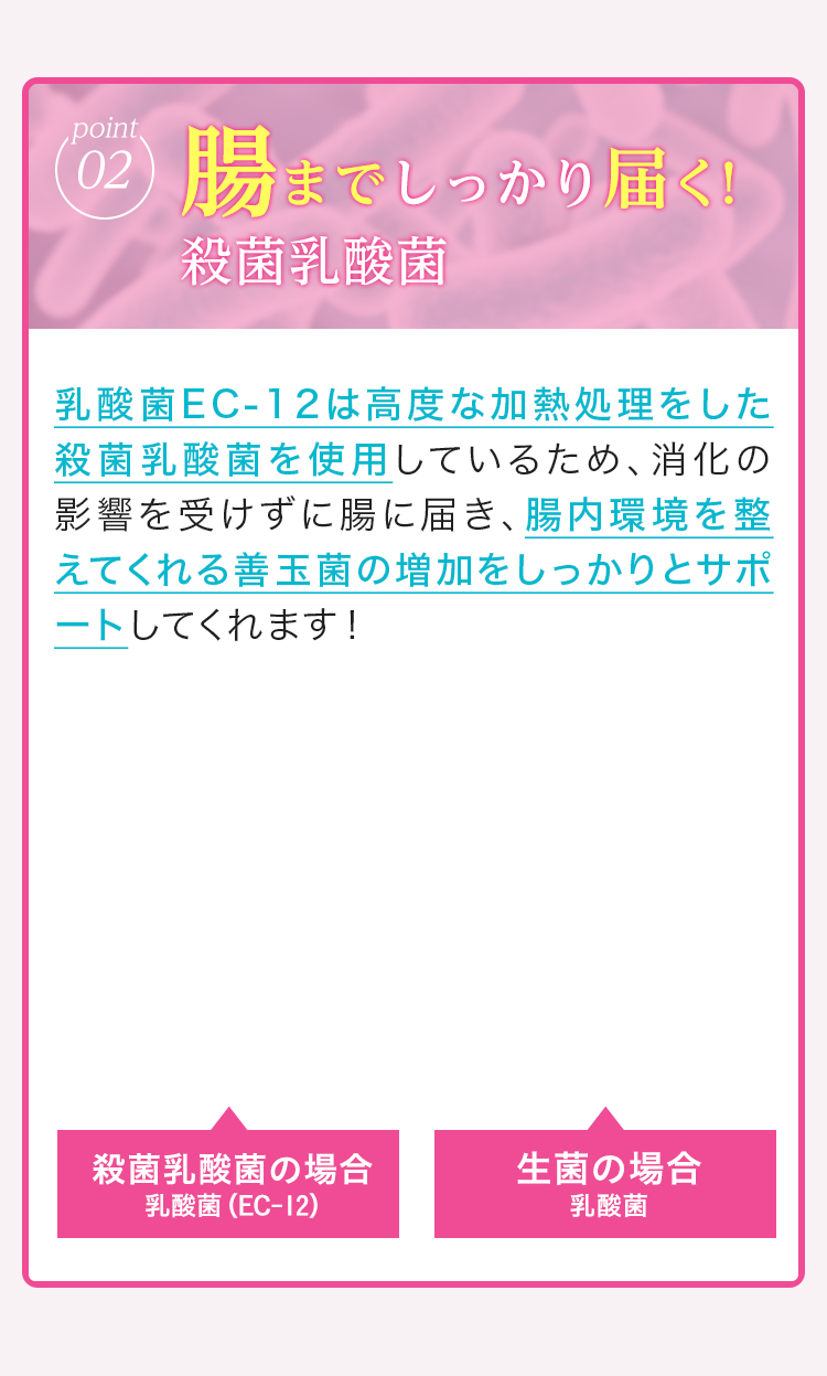 point02 腸までしっかり届く！殺菌乳酸菌 乳酸菌EC-12は高度な加熱処理をした殺菌乳酸菌を使用しているため、消化の影響を受けずに腸に届き、腸内環境を整えてくれる善玉菌の増加をしっかりとサポートしてくれます！殺菌乳酸菌の場合 乳酸菌（EC-12）生菌の場合 乳酸菌