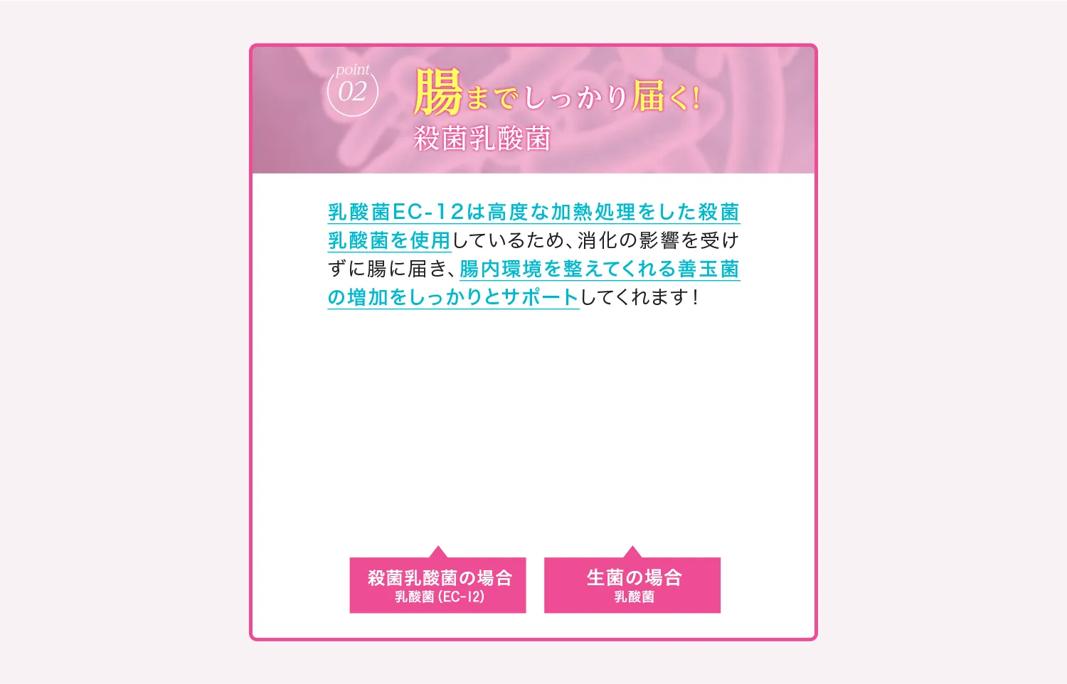 Point02 腸までしっかり届く!殺菌乳酸菌 乳酸菌 EC-12は高度な加熱処理をした殺菌乳酸菌を使用しているため、唱歌の影響を受けずに腸に届き、腸内環境を整えてくれる善玉菌の増加をしっかりとサポートしてくれます!殺菌乳酸菌の場合 乳酸菌(EC-12) 生菌の場合 乳酸菌