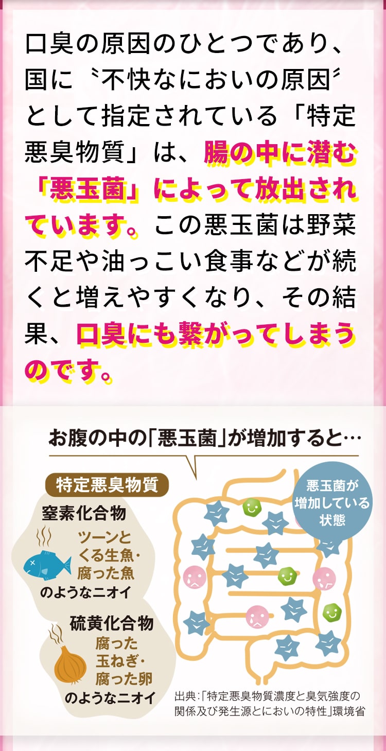 口臭の原因のひとつであり、国に〝不快なにおいの原因〞として指定されている「特定悪臭物質」は、腸の中に潜む「悪玉菌」によって放出されています。この悪玉菌は野菜不足や油っこい食事などが続くと増えやすくなり、その結果、口臭にも繋がってしまうのです。