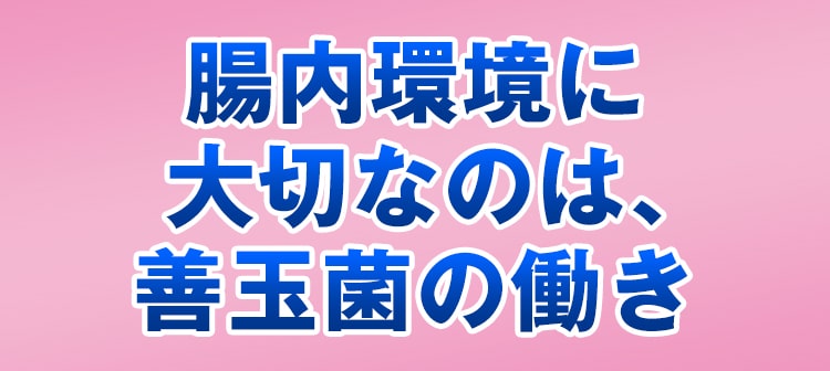 乳酸菌EC-12：HisamitsuいきいきOnline
