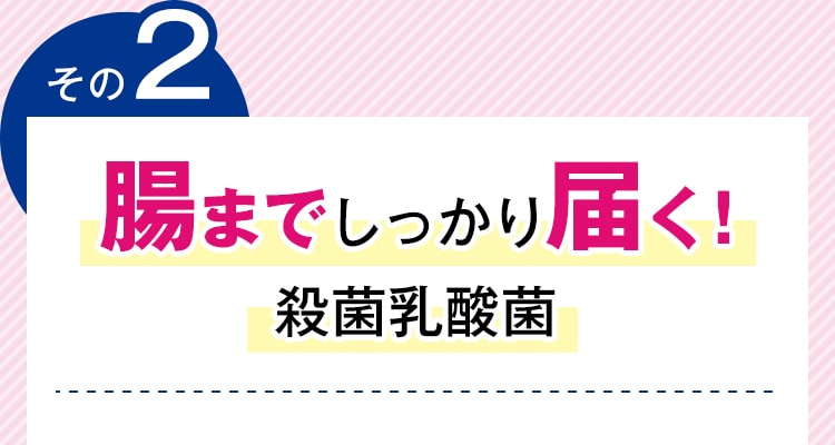 腸までしっかり届く!殺菌乳酸菌