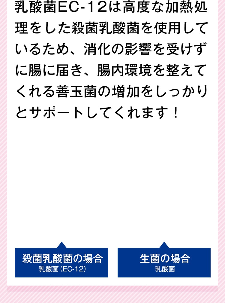 乳酸菌EC-12は高度な加熱処理をした殺菌乳酸菌を使用しているため、消化の影響を受けずに腸に届き、腸内環境を整えてくれる善玉菌の増加をしっかりとサポートしてくれます！
