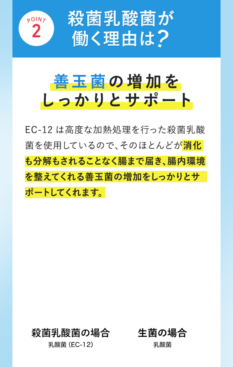 殺菌乳酸菌が働く理由は？ 善玉菌の増加をしっかりとサポート EC-12は高度な加熱処理を行った殺菌乳酸菌を使用しているので、そのほとんどが消化も分解もされることなく腸まで届き、腸内環境を整えてくれる善玉菌の増加をしっかりとサポートしてくれます。