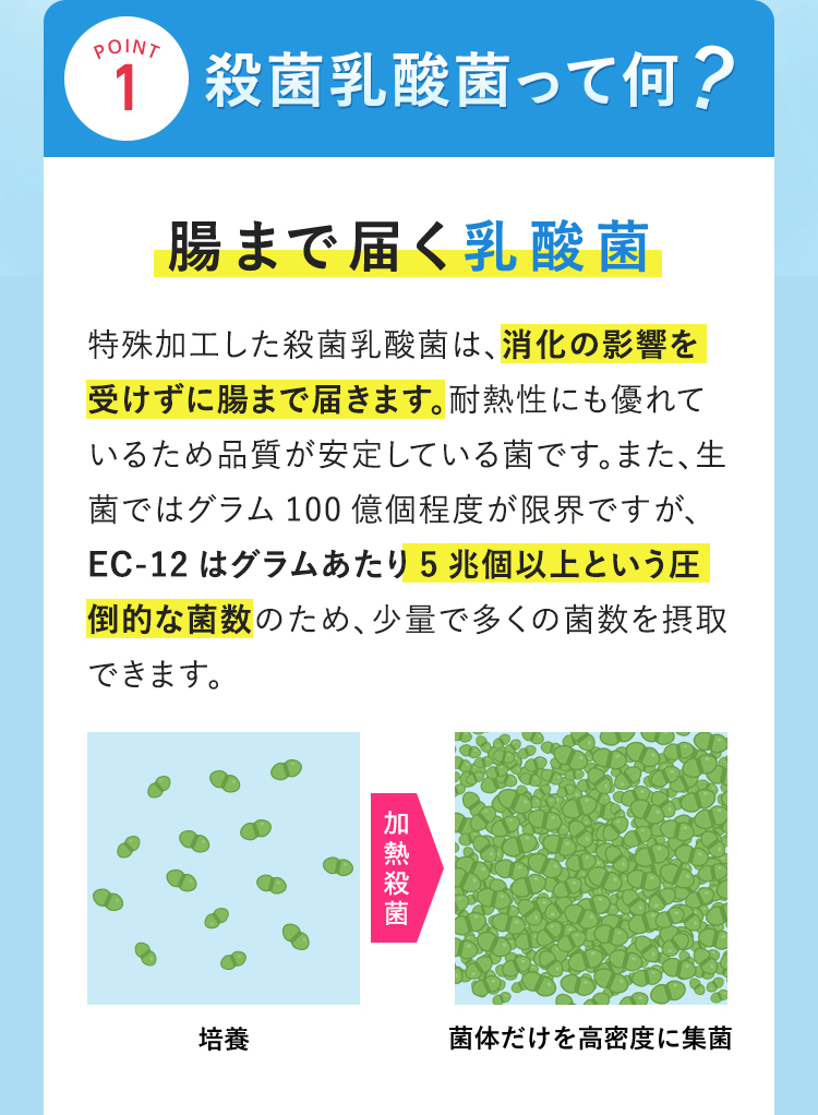 殺菌乳酸菌って何? 腸まで届く乳酸菌 殺菌乳酸菌とは特殊加工した殺菌乳酸菌のことで、消化の影響を受けずに腸まで届く乳酸菌です。耐熱性にも優れているため品質が安定している菌です。また、生菌ではグラム100億個程度が限界ですが、EC-12はグラムあたり5兆個以上という圧倒的な菌数のため、少量で多くの菌数を摂取できます。