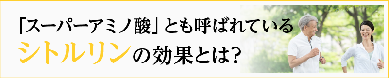 「スーパーアミノ酸」とも呼ばれているシトルリンの効果とは？