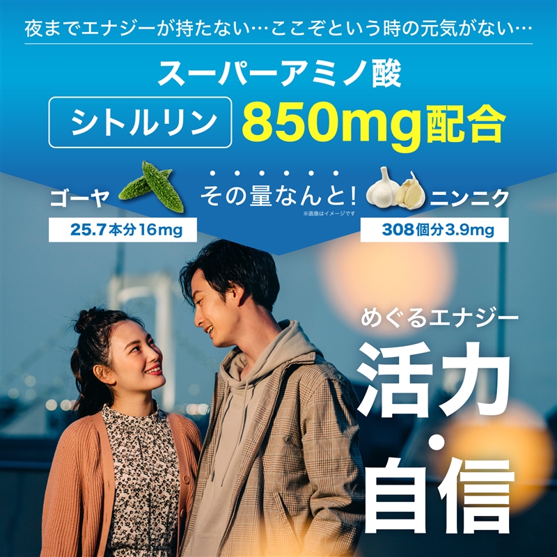 【まとめ】Hisamitsu 活力アミノ酸DX 30袋×3個 1回のみお届け 約3ヶ月分