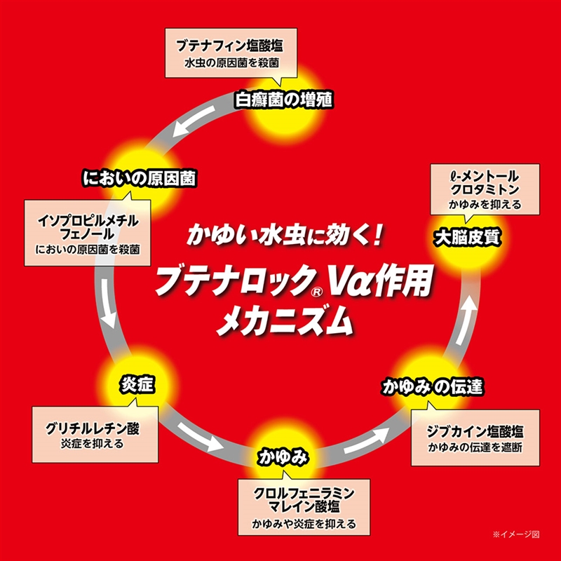 【指定第2類医薬品】ブテナロックVα 液 18ml