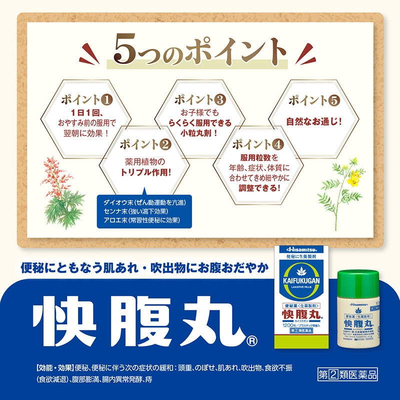 【指定第2類医薬品】快腹丸 1200粒
