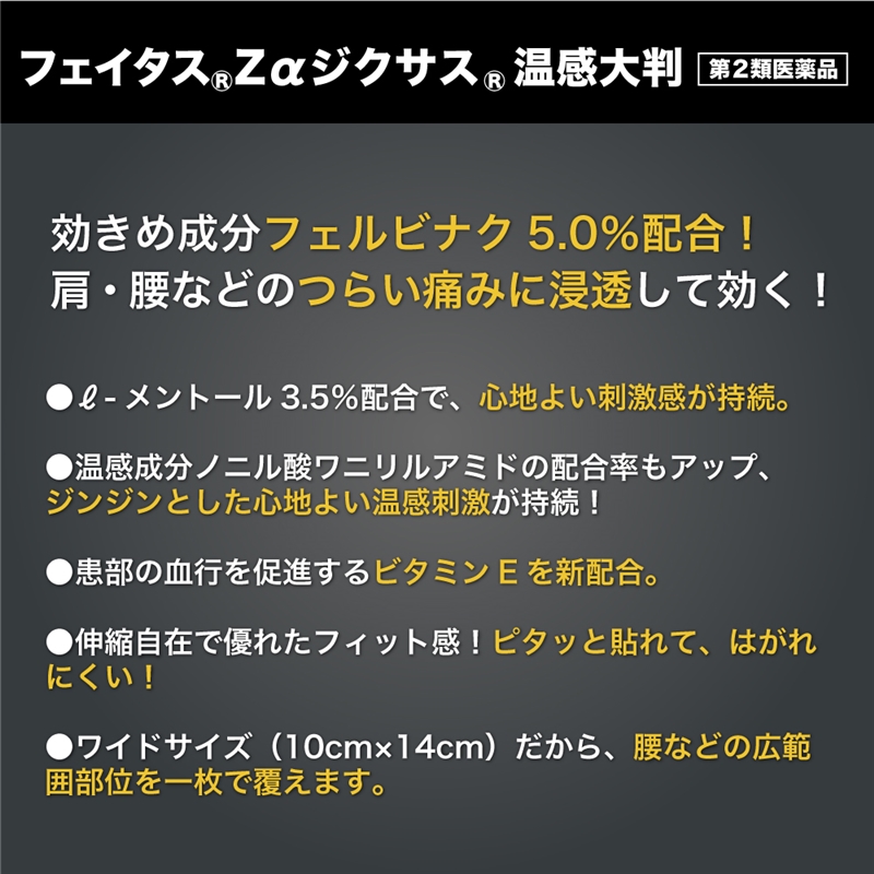【第2類医薬品】フェイタス5.0 温感(大判サイズ) 10枚