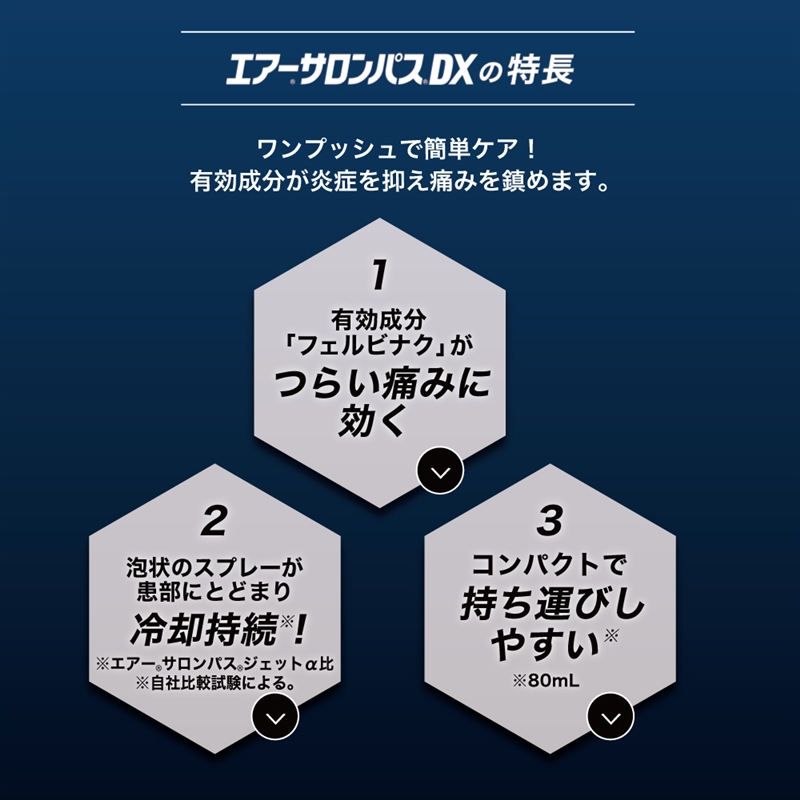 【社販特別】エアーサロンパスDX 120ml