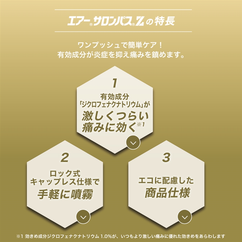 【社販特別】エアーサロンパスZ 120ml