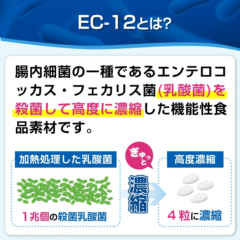 乳酸菌 EC-12 チュアブル 120粒 1回のみお届け 約1ヶ月分