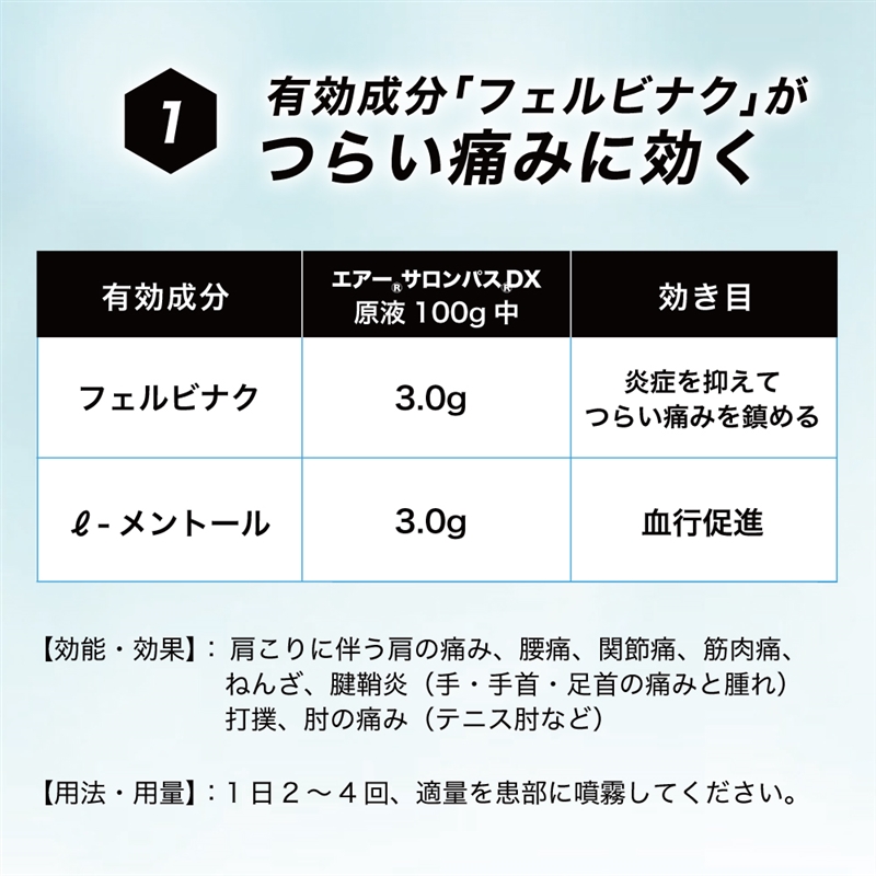 【第2類医薬品】エアーサロンパス DX 120ml