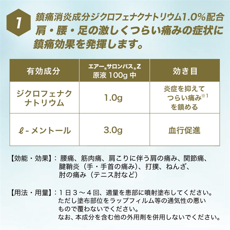 【社販特別】エアーサロンパスZ 120ml