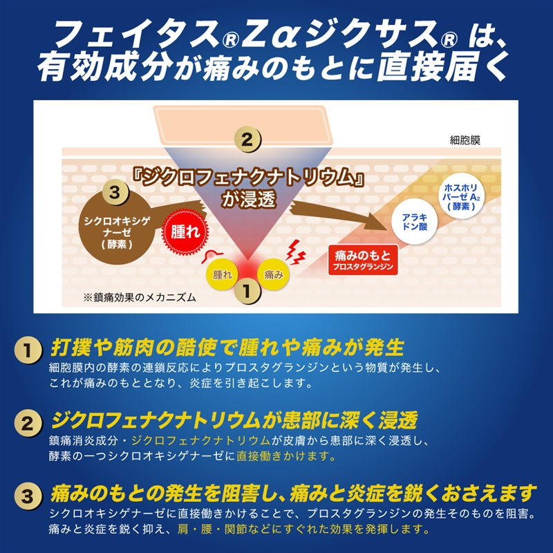 【第2類医薬品】フェイタスZαジクサス 温感 14枚