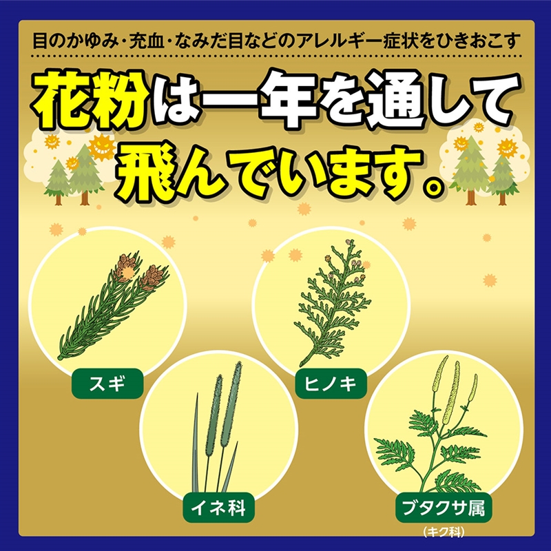 【第2類医薬品】眼涼アルファースト EX 10ml