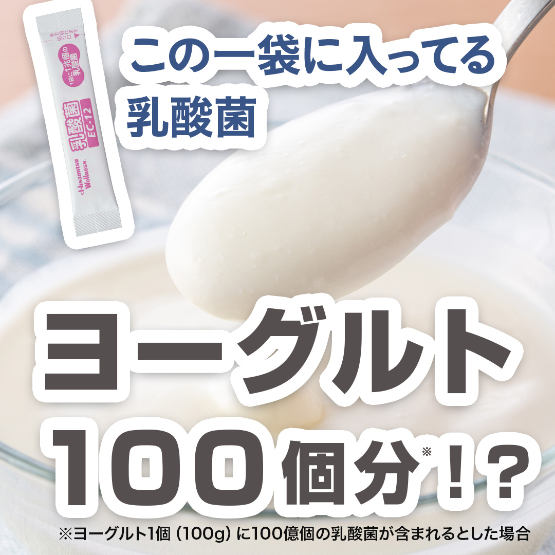 【定期】乳酸菌 EC-12 顆粒 1g×30袋 定期購入 約1ヶ月分