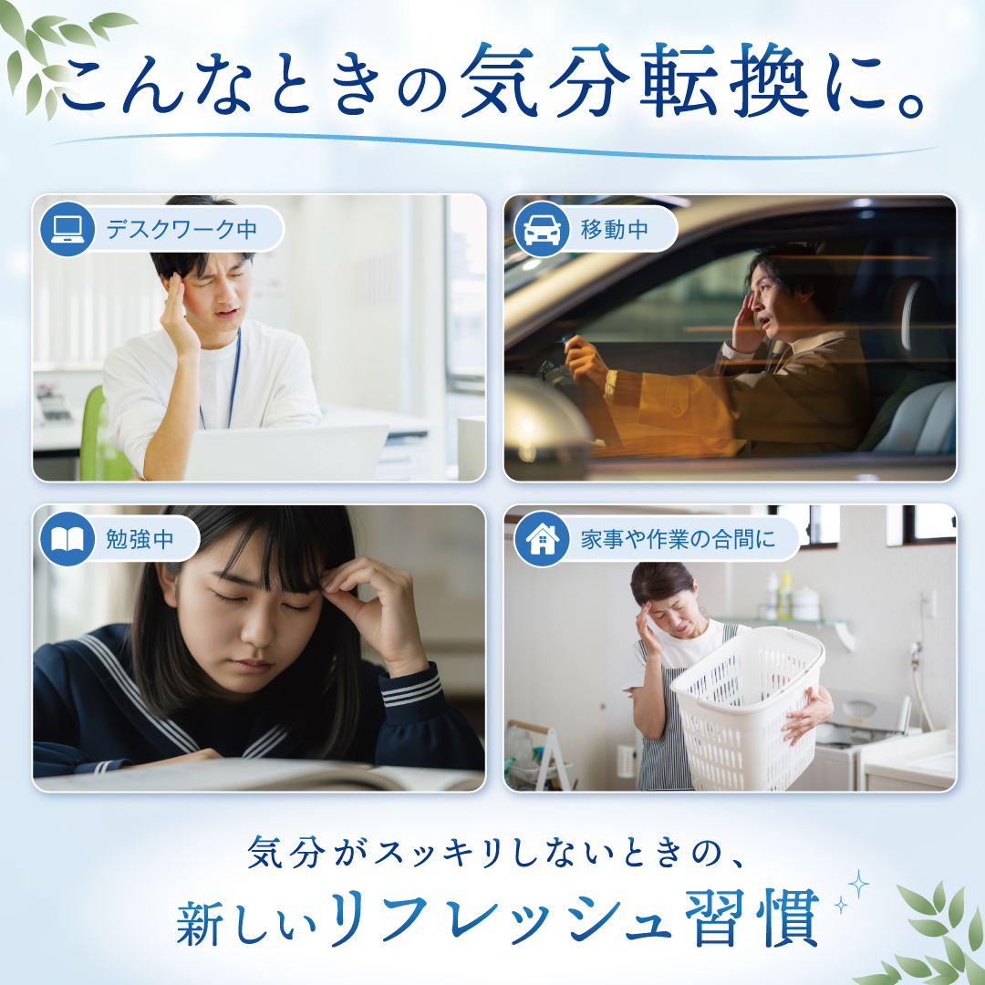 ズッキーンクールシート 12枚入 12枚入り