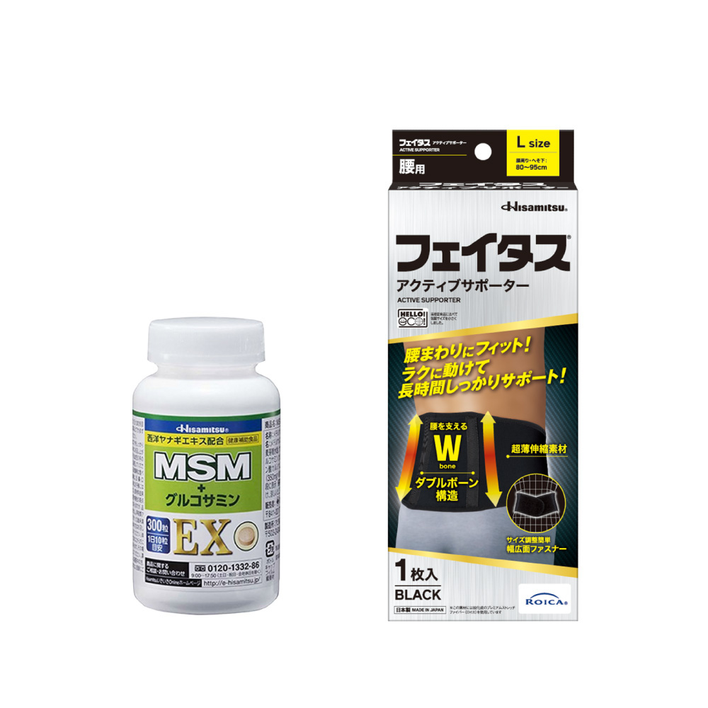 【社販特別セット】MSM+グルコサミンEX 300粒+フェイタス アクティブ サポーター 腰用 Lサイズ 【社販特別】MSM+サポーター