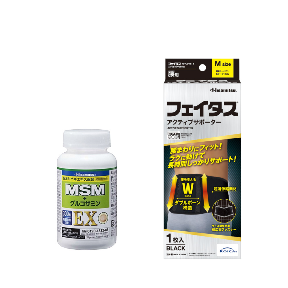 【社販特別セット】MSM＋グルコサミンEX 300粒＋フェイタス アクティブ サポーター 腰用 Mサイズ