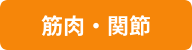 筋肉・関節