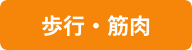 歩行・筋肉