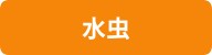 水虫