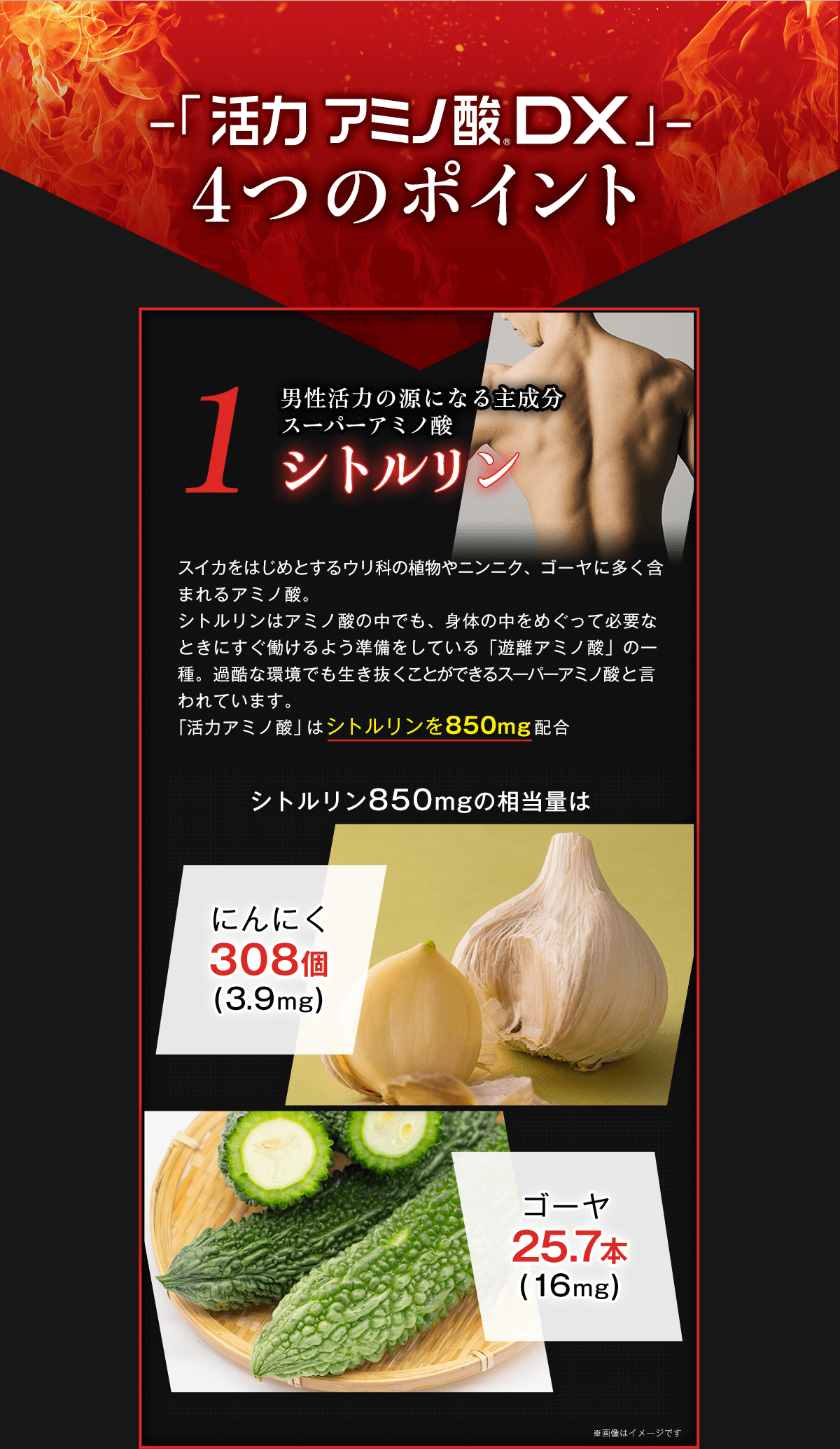 Hisamitsu 久光　活力　アミノ酸　DX コエンザイムQ10 シトルリン 久光製薬 Hisamitsu 活力アミノ酸DX 30袋 約1か月分 シトルリン