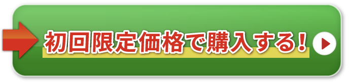 初回限定価格で購入する！
