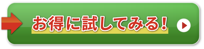 お得に試してみる！