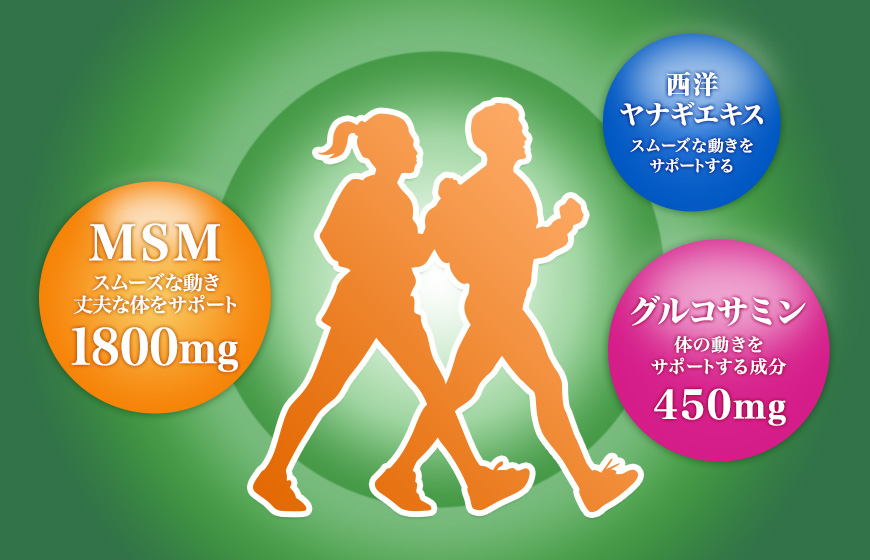 MSM　グルコサミン　西洋ヤナギエキス