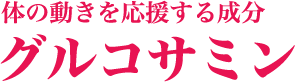 グルコサミン　体の動きを応援する成分