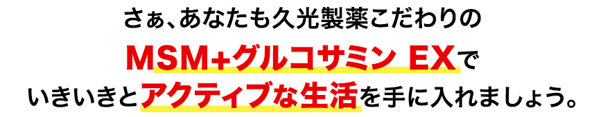 さぁ、あなたも久光製薬こだわりのMSM＋グルコサミン EXでいきいきとアクティブな生活を手に入れましょう。