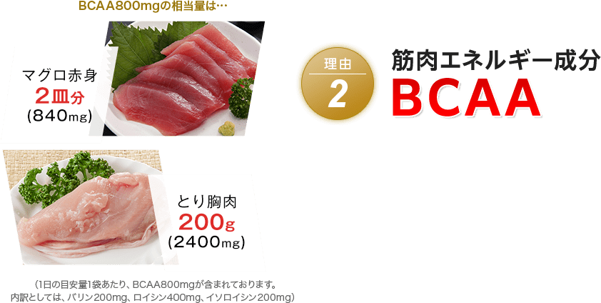 理由2 筋肉エネルギー成分BCAA