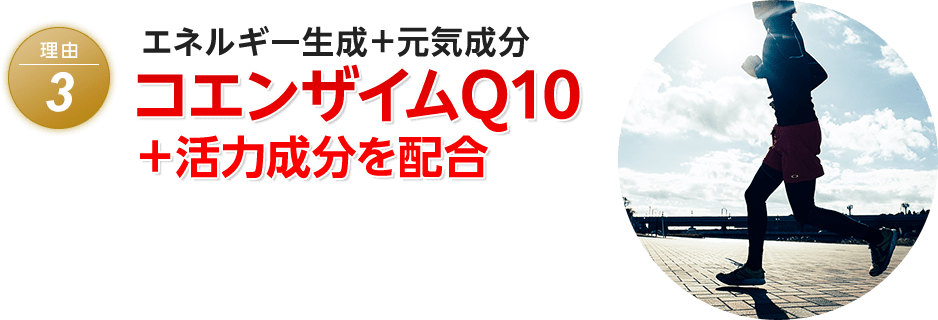 理由3 エネルギー生成+元気成分 コエンザイムQ10+活力成分を配合