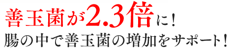 理由3 善玉菌が2.3倍に！腸の中で善玉菌の増加をサポート！