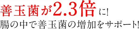 理由3 善玉菌が2.3倍に！腸の中で善玉菌の増加をサポート！