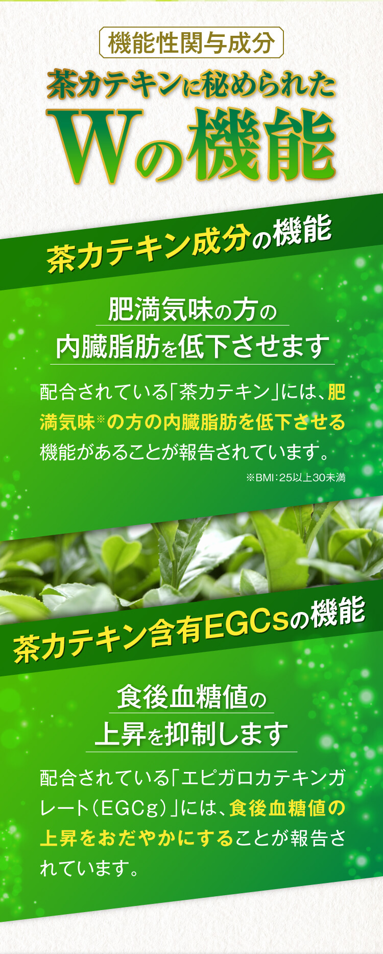 機能性関与成分。茶カテキンに秘められたWの機能。肥満気味の方の内臓脂肪を低下させます。食後血糖値の上昇を抑制します。