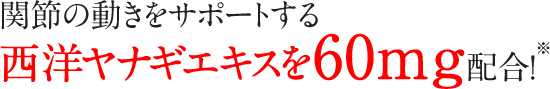 理由2 関節の動きをサポートする西洋ヤナギエキスを60mg配合！